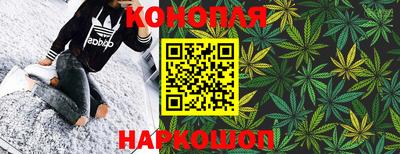 PSILOCYBIN Владимир
