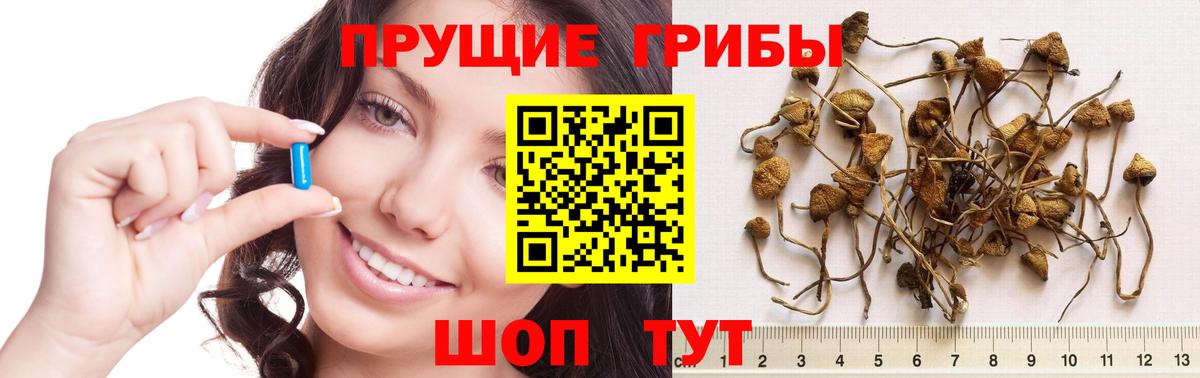 Псилоцибиновые грибы прущие грибы Верхняя Салда